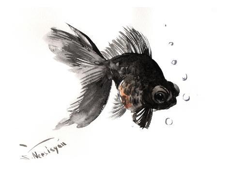 black and white goldfish