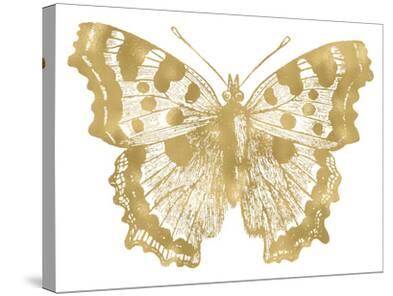 'Butterfly 1 Golden White' Stretched Canvas Print - Amy Brinkman ...