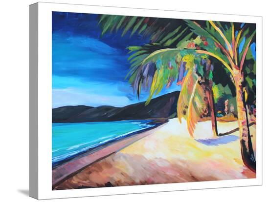 Magens Bay St Thomas Usvi Stretched Canvas Print by M ...