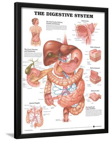 Digestive System Chart