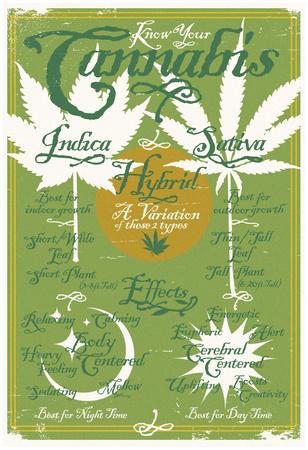 know your cannabis infographic green chart poster at apple stock chart