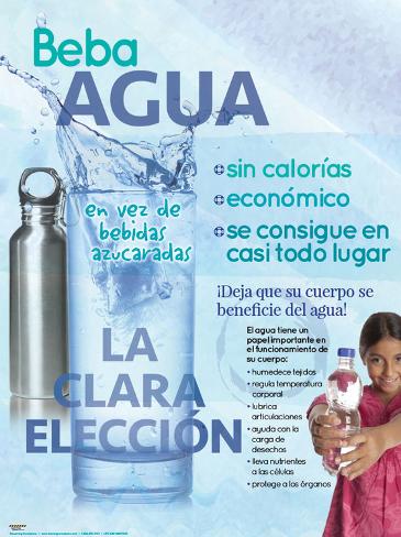 Drink Water Spanish Poster Poster at