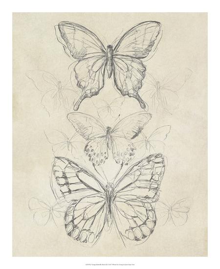 Download Vintage Butterfly Sketch II Giclee Print by June Erica ...