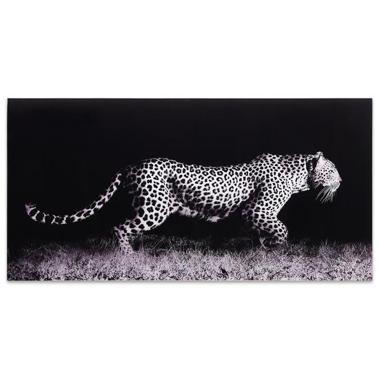 Fearless 1 Free Floating Tempered Glass Panel Graphic Wall Art