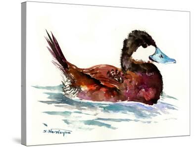 Download 'Ruddy Duck' Stretched Canvas Print - Suren Nersisyan ...
