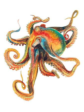 Octopus fx opiniones