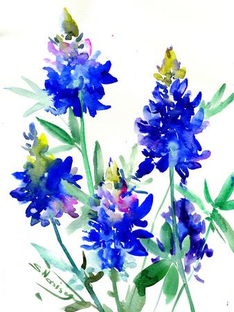 'texas bluebonnet flowers 2' giclee print  suren