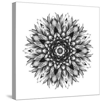 Download 'Pineapple Mandala' Stretched Canvas Print - Chaos ...