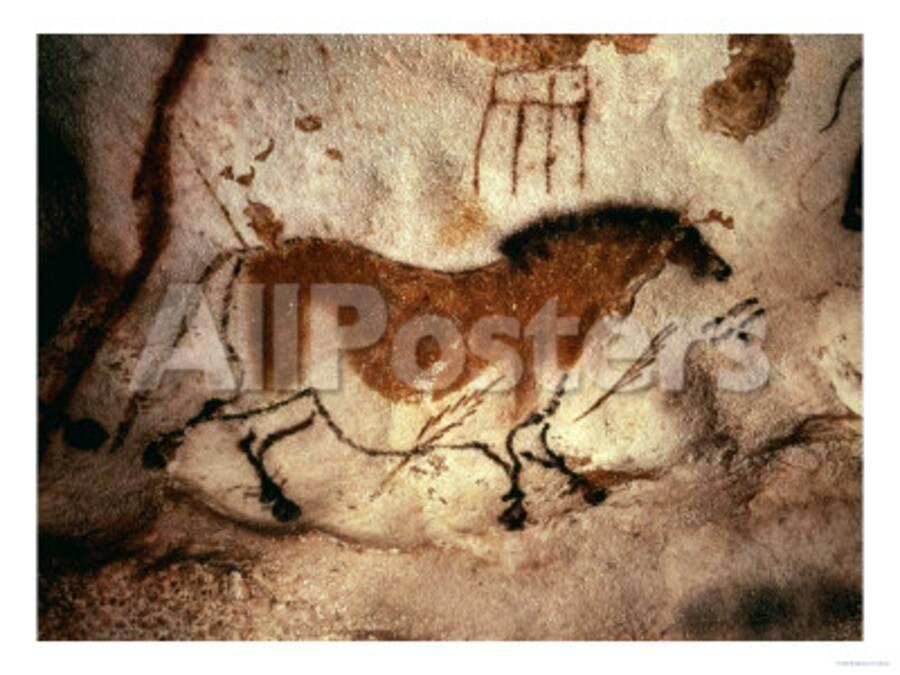 Rock Painting Of A Horse Circa 17000 Bc Giclee Print