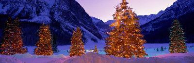 christmas lake louise lighted panoramic trees chateau alberta canada photograph 3rd uploaded september which posters