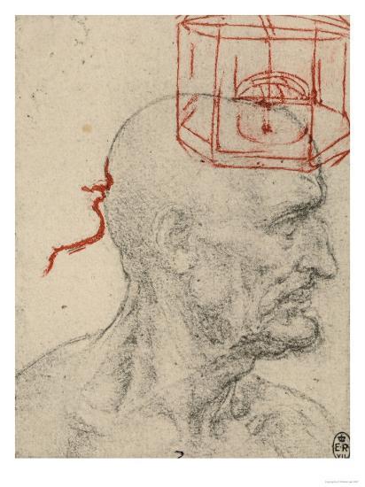 'Study of a Male Profile, Black and Sanguine Pencil ...