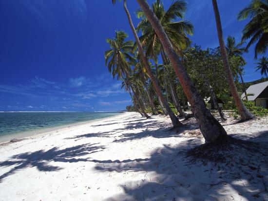 'Tambua Sands Resort, Palm Trees and Shadows on Beach, Coral Coast ...