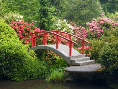 Moon Bridge And Blossoming Rhododendrons Kubota Garden Seattle