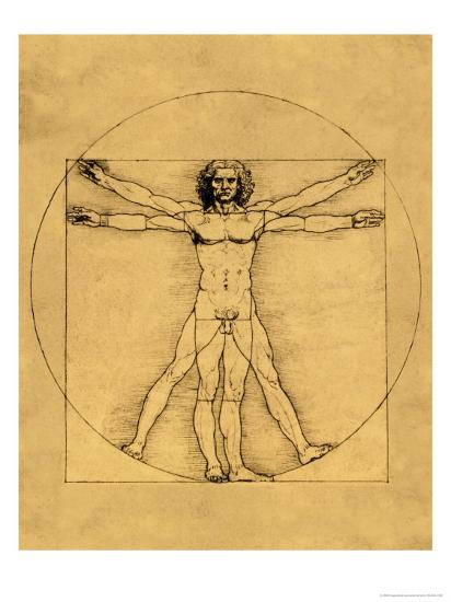 Proportions Of The Human Figure Giclee Print Leonardo Da Vinci Allposters Com