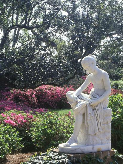 Middleton Gardens Charleston Sc Photographic Print By Ron Rocz