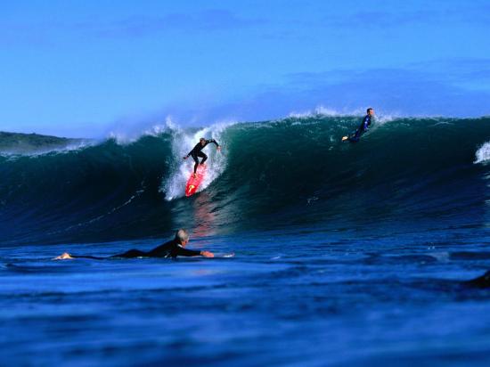 Surfers In Manu Bay New Zealand