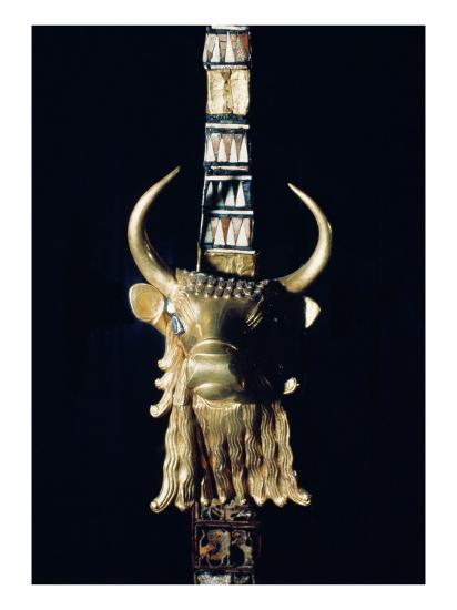 198659 essay 07 picture