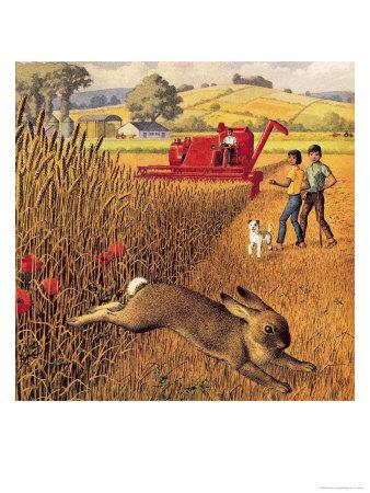 Harvesting operation picture