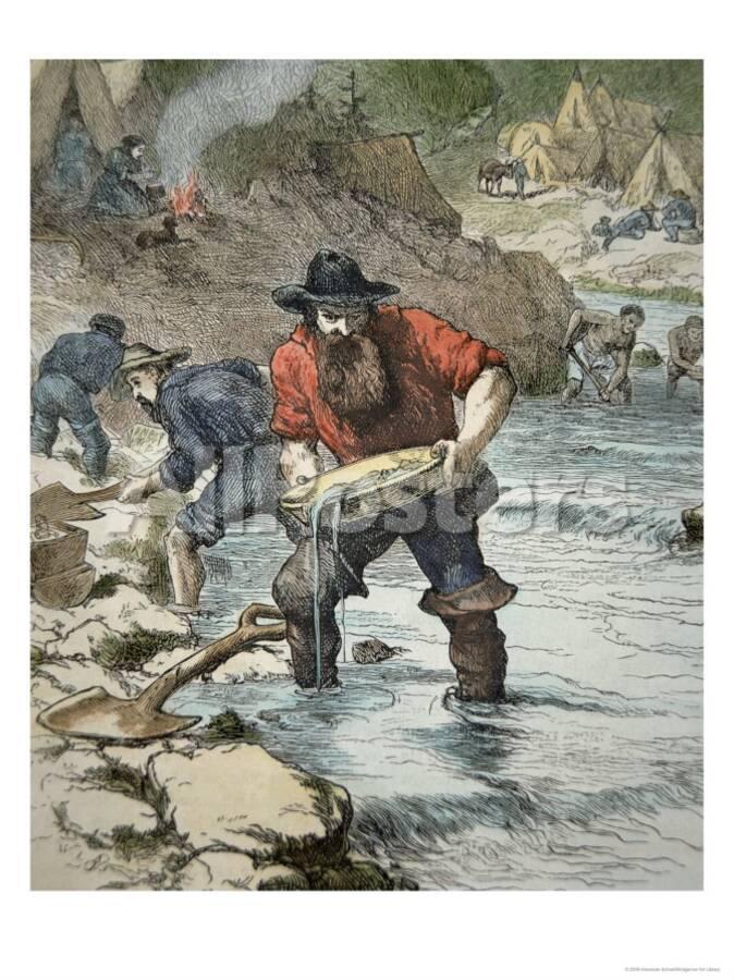 prospectors Californian gold rush