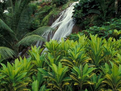 10 Beautiful Garden Ideas For Your Home