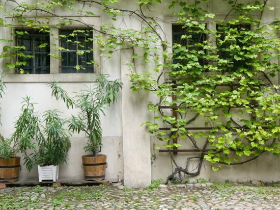 'Courtyard off Psoriases, Graz, Styria, Austria ...
