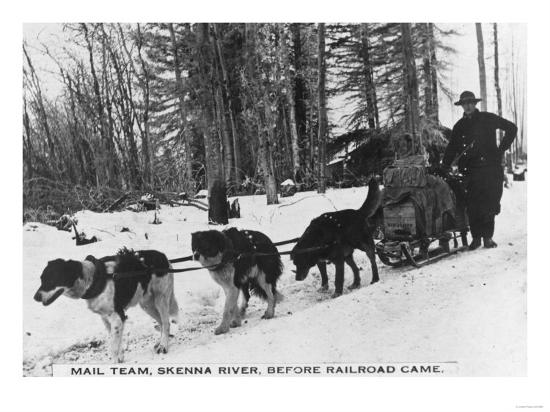 'Dog Sled Mail Delivery Team Photograph British Columbia, Canada' Art
