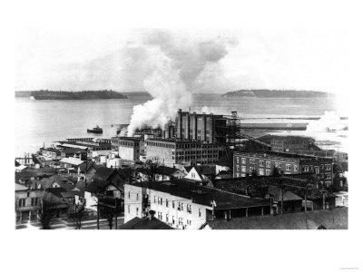 Aerial View of the New Pulp Mill, Largest in the World ...