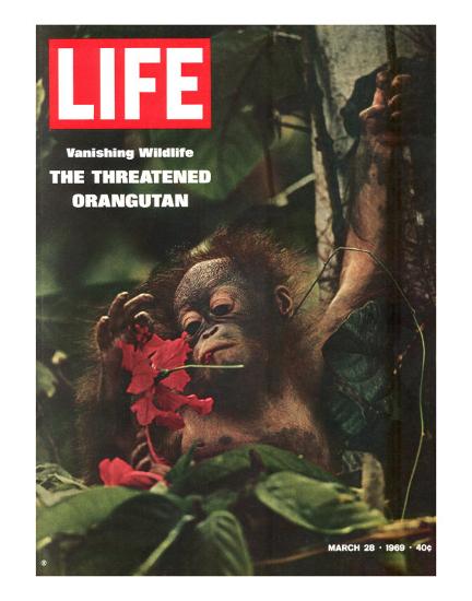 Essay on my best friend image