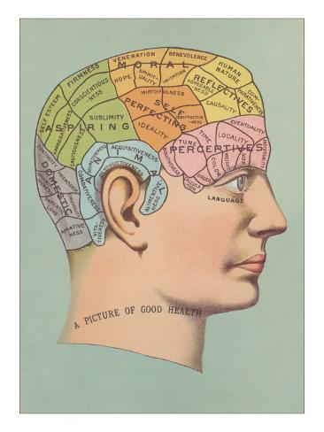 Phrenology Chart Poster