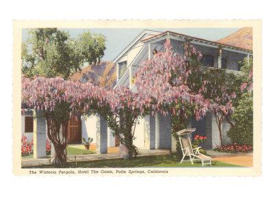 Wisteria Pergola The Oasis Palm Springs California Prints Allposters Com