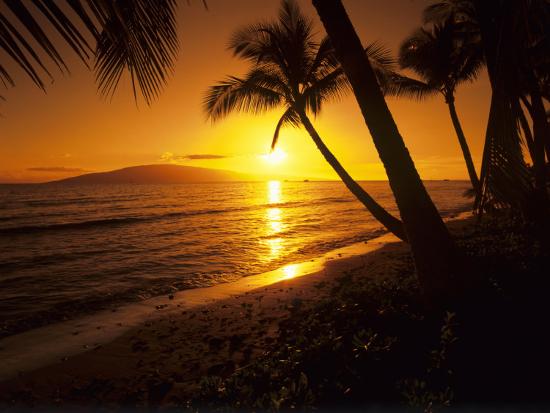 Colorful Sunset In A Tropical Paradise Maui Hawaii Usa Photographic Print Jerry Ginsberg Allposters Com