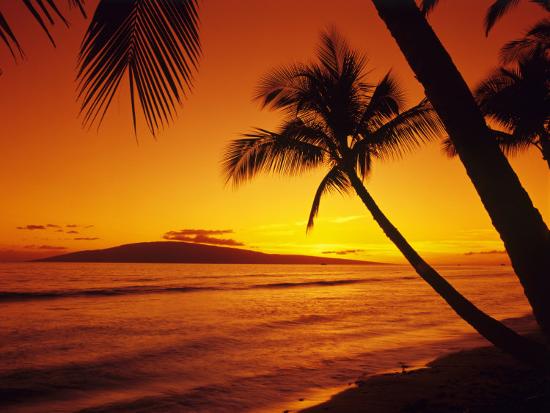 Colorful Sunset In A Tropical Paradise Maui Hawaii Usa Photographic Print Jerry Ginsberg Allposters Com