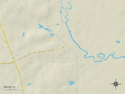 'Political Map of Molino, FL' Photo | AllPosters.com