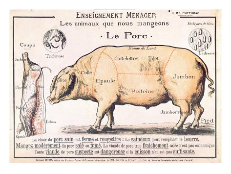 Pig Cut Chart Poster