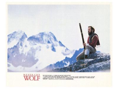 Never cry wolf essay