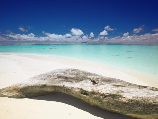 Driftwood On The Beach Maldives Indian Ocean Asia Photographic Driftwood On The Beach Maldives Indian Ocean