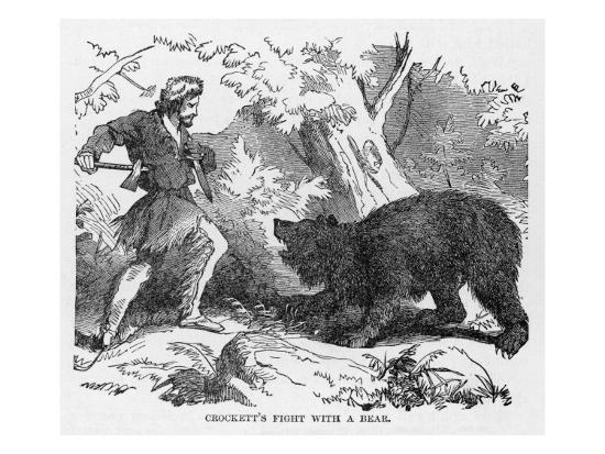 Bear fighting essay 07 image