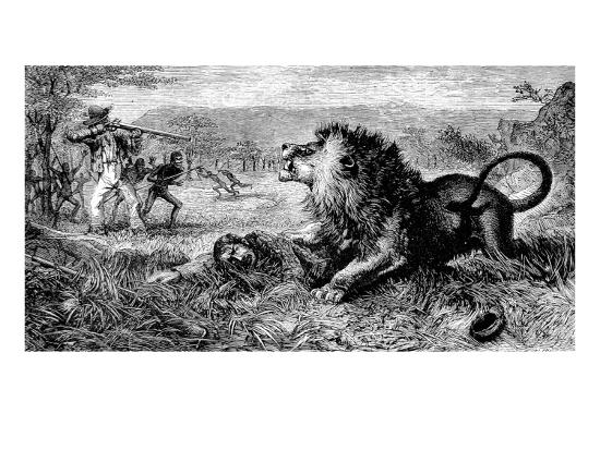 'Dr. David Livingstone Attacked by a Lion, 1843' Giclee Print
