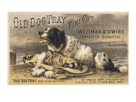 Old Dog Tray Giclee Print at
