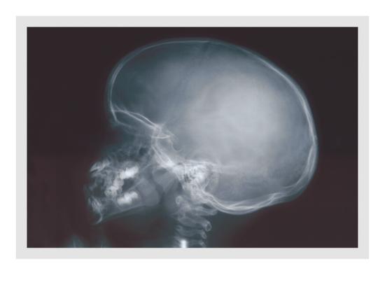 skull wall decal at allposters