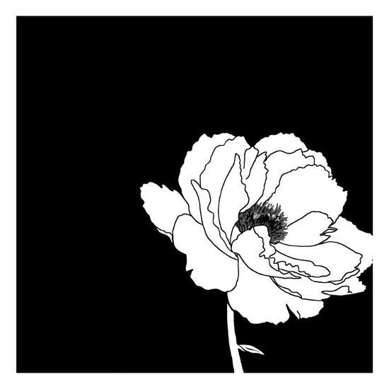 Black and White Print with Large White Flower Wall Decal ...