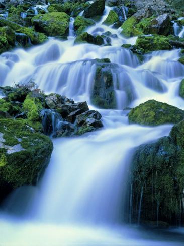 Periodic Spring During Period Of High Flow Salt River Range Bridger Teton National Forest Wy