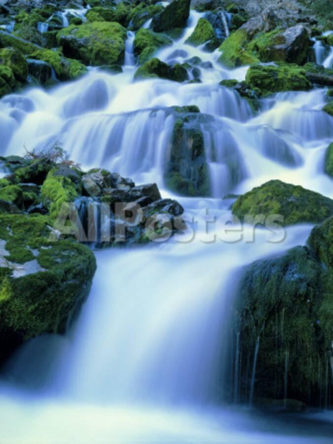 Periodic Spring During Period Of High Flow Salt River Range Bridger Teton National Forest Wy