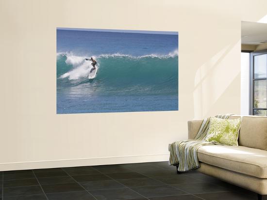 Surfing At Waikiki Honolulu Hawaii Usa Wall Mural By Douglas