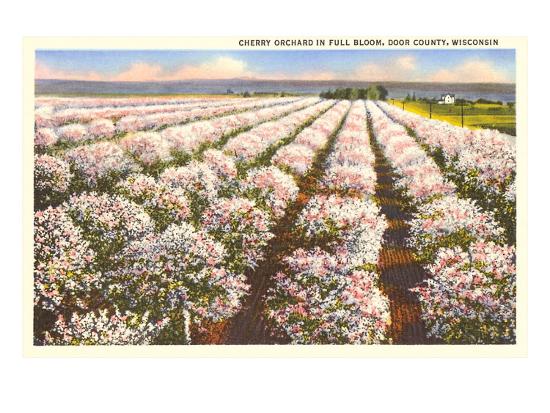 Cherry Orchard Door County Wisconsin