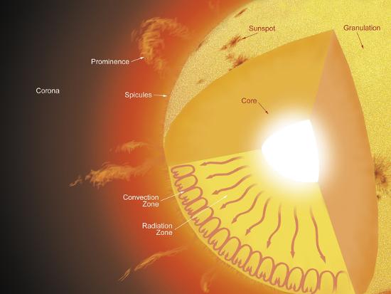 A Cutaway View Of The Sun Photographic Print Stocktrek Images Allposters Com A Cutaway View Of The Sun Photographic Print Stocktrek Images Allposters Com