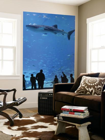 Large Whale Shark Swimming In Tank With People Below At Georgia Aquarium Prints By Frank Carter At Allposters Com Large Whale Shark Swimming In Tank With People Below At Georgia Aquarium Prints By Frank Carter At Allposters Com