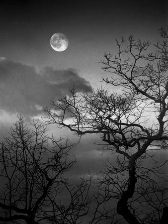 'A Nearly Full Moon Sets over the Blue Ridge Mountains at Dawn ...