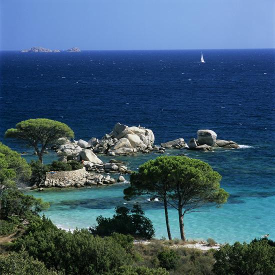 Palombaggia Beach Near Porto Vo South East Corsica Palombaggia Beach Near Porto Vo South East Corsica France Mediterranean