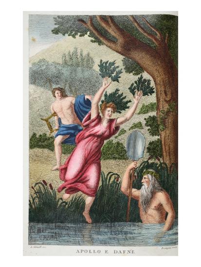 'Daphne into a Laurel, Illustration from Ovid's Metamorphoses, Florence